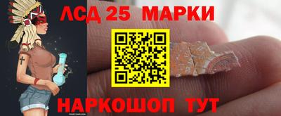 крисы Можга
