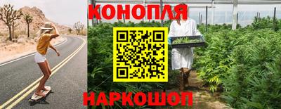 индика Можайск