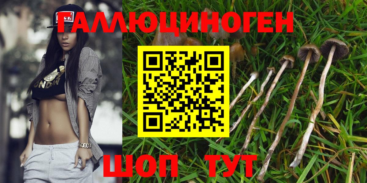 Татарск  Псилоцибиновые грибы Cubensis  Вход с VPN  Галлюциногенные грибы MAGIC MUSHROOMS 
